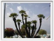 DSCN3838.JPG