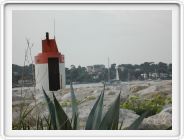 DSCN3848.JPG