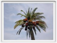 DSCN3761.JPG