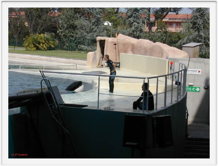Marineland_213.JPG