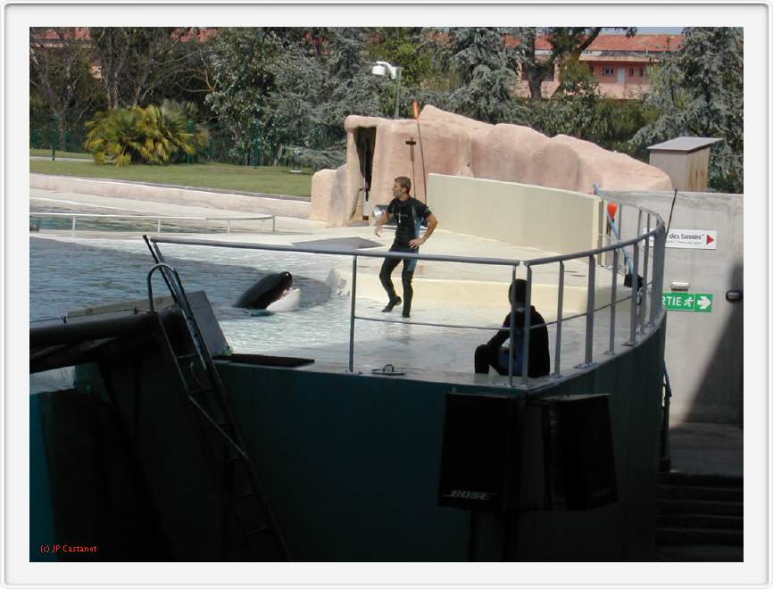 Marineland_214.JPG