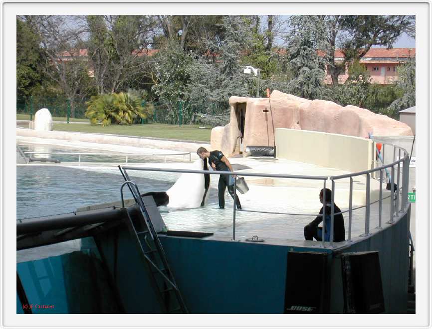 Marineland_215.JPG
