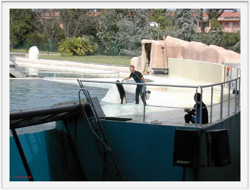 Marineland_216.JPG