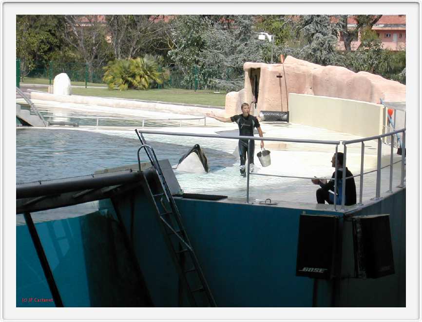 Marineland_217.JPG