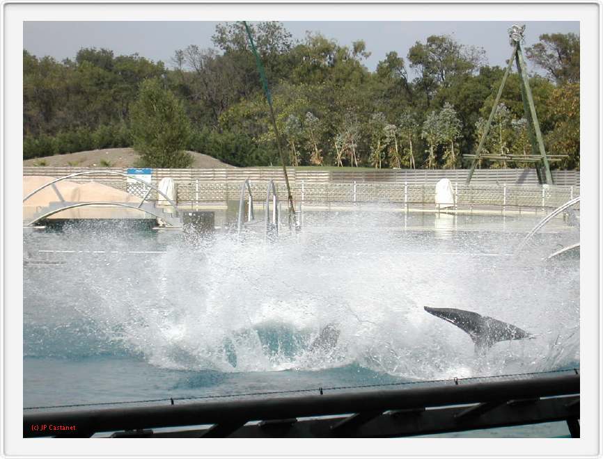 Marineland_232.JPG