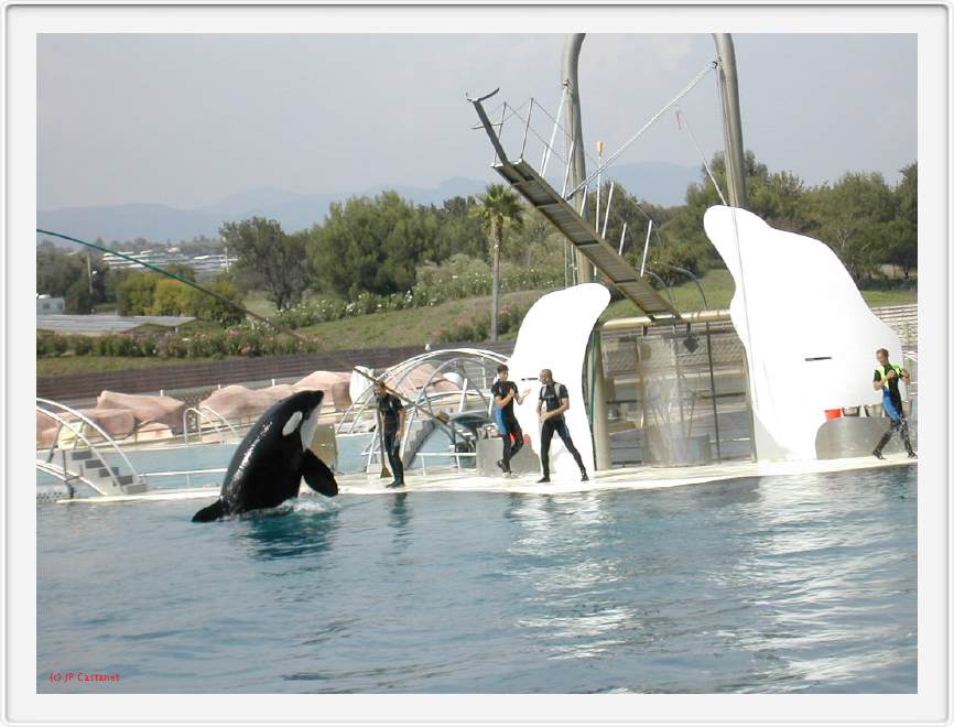 Marineland_233.JPG
