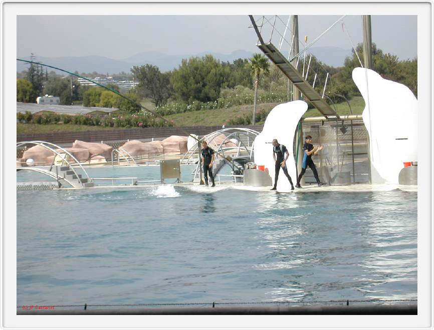 Marineland_234.JPG