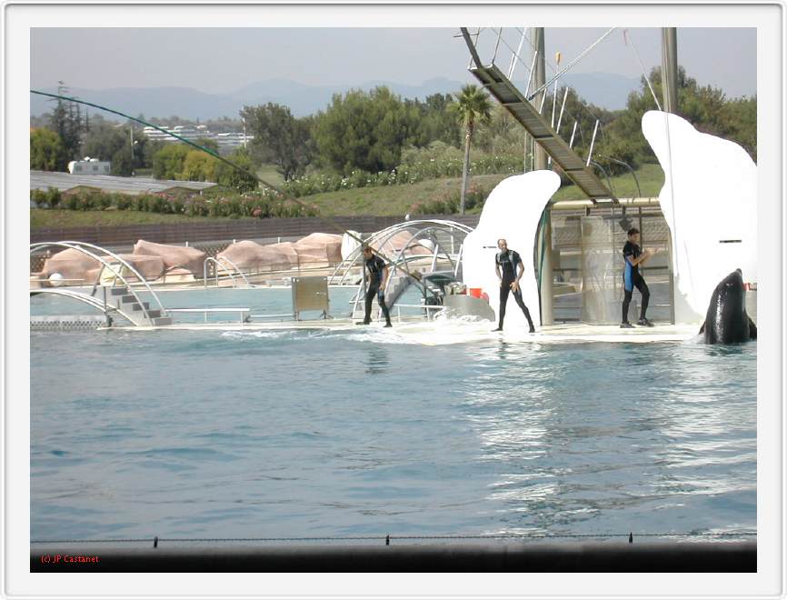 Marineland_235.JPG