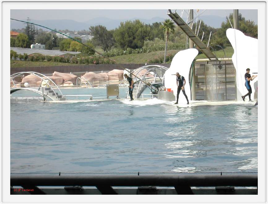 Marineland_236.JPG