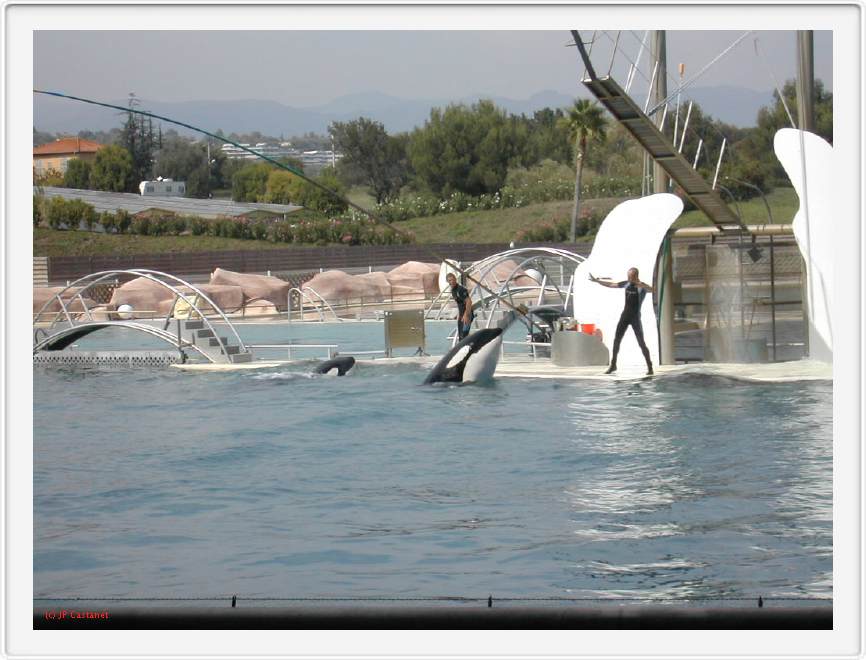 Marineland_237.JPG