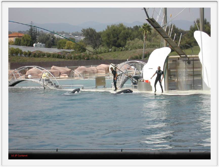 Marineland_238.JPG
