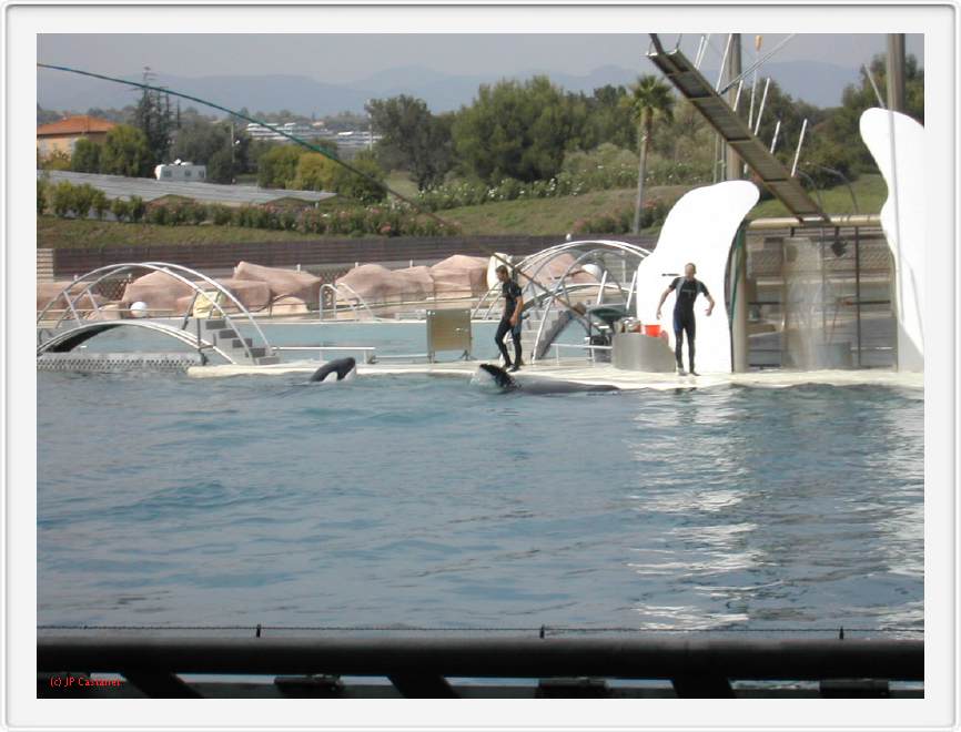 Marineland_239.JPG