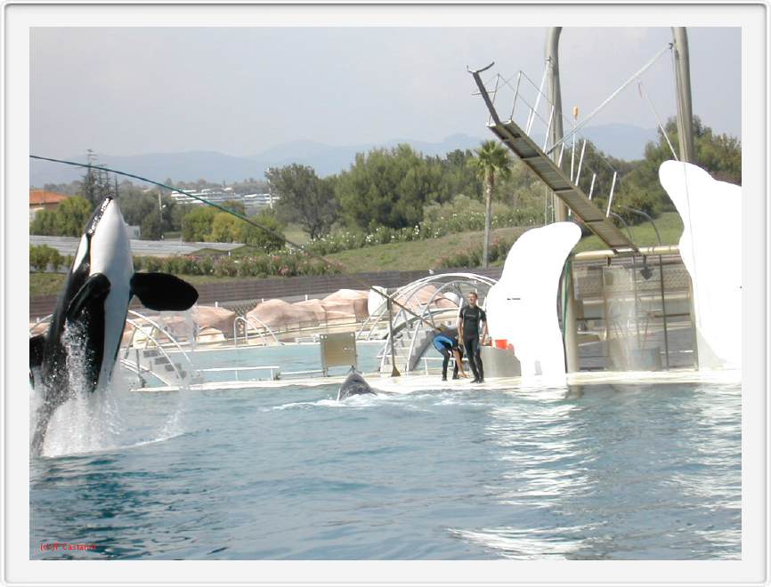 Marineland_241.JPG