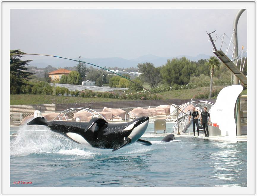 Marineland_242.JPG