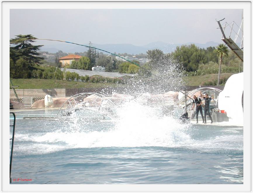 Marineland_244.JPG