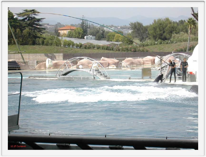 Marineland_245.JPG