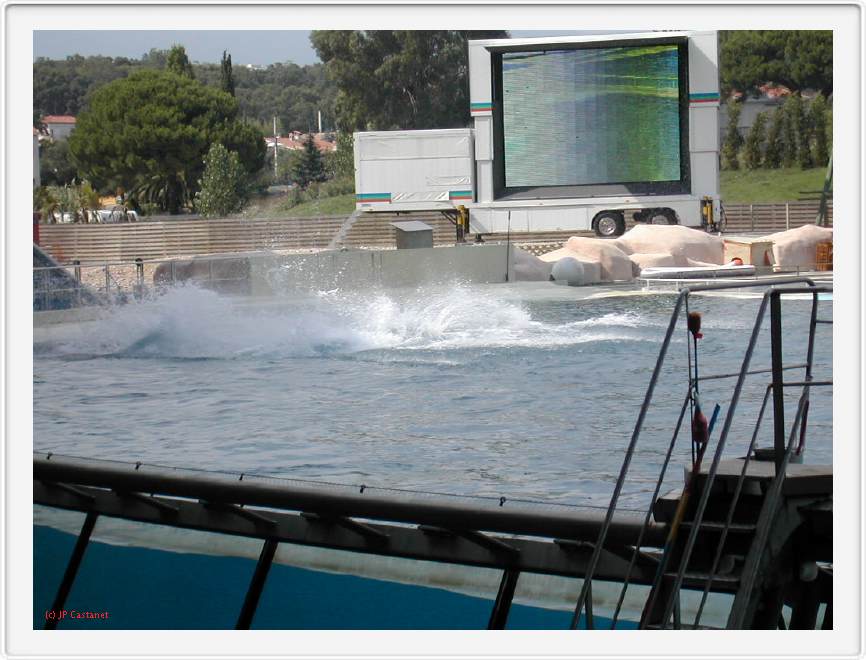 Marineland_247.JPG