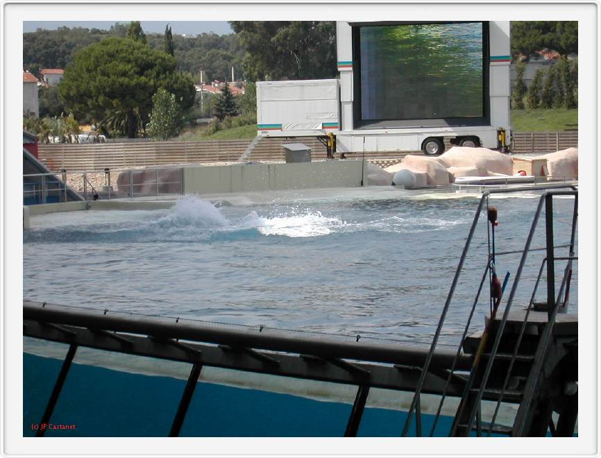 Marineland_248.JPG