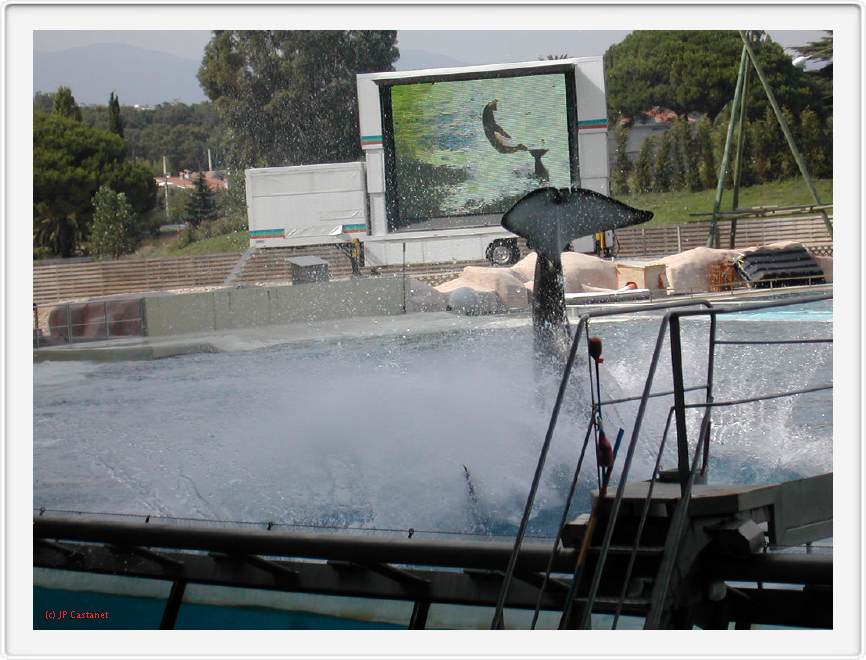 Marineland_250.JPG