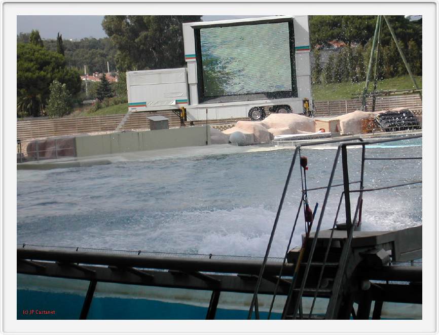 Marineland_251.JPG