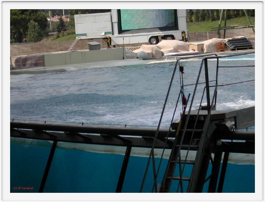 Marineland_252.JPG
