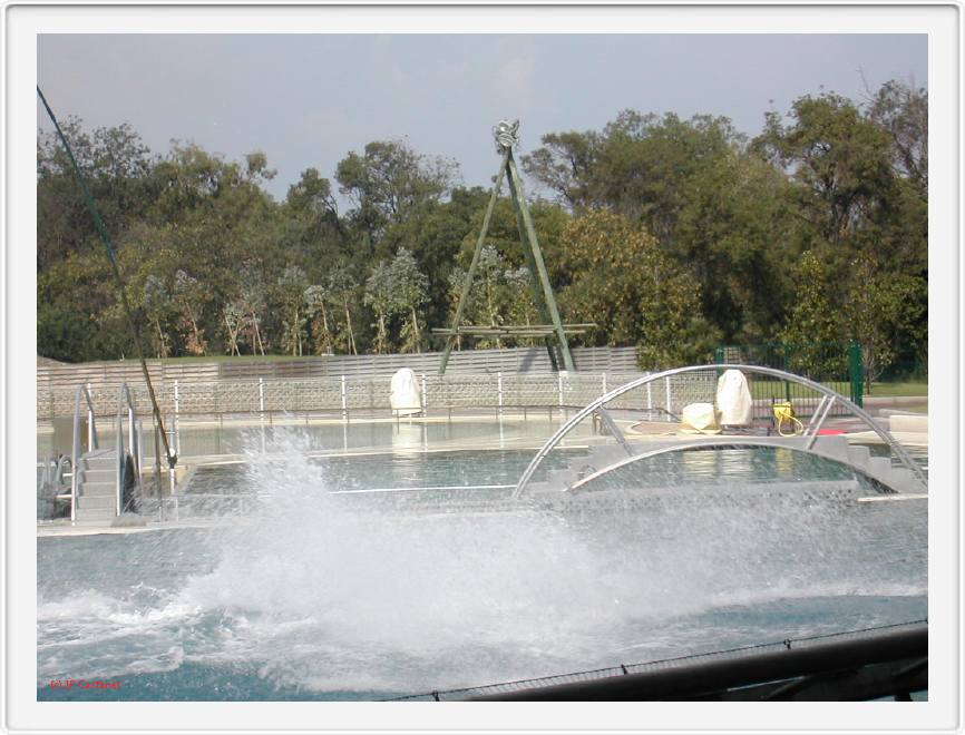 Marineland_254.JPG