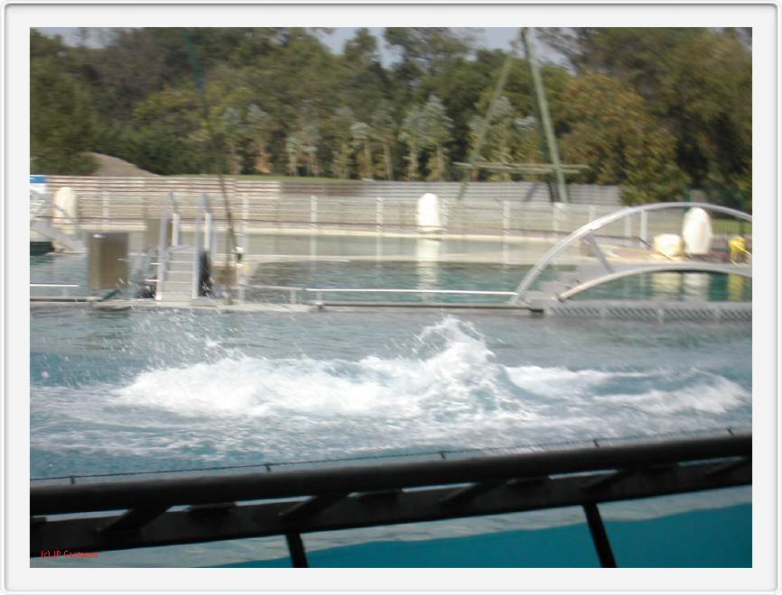Marineland_255.JPG