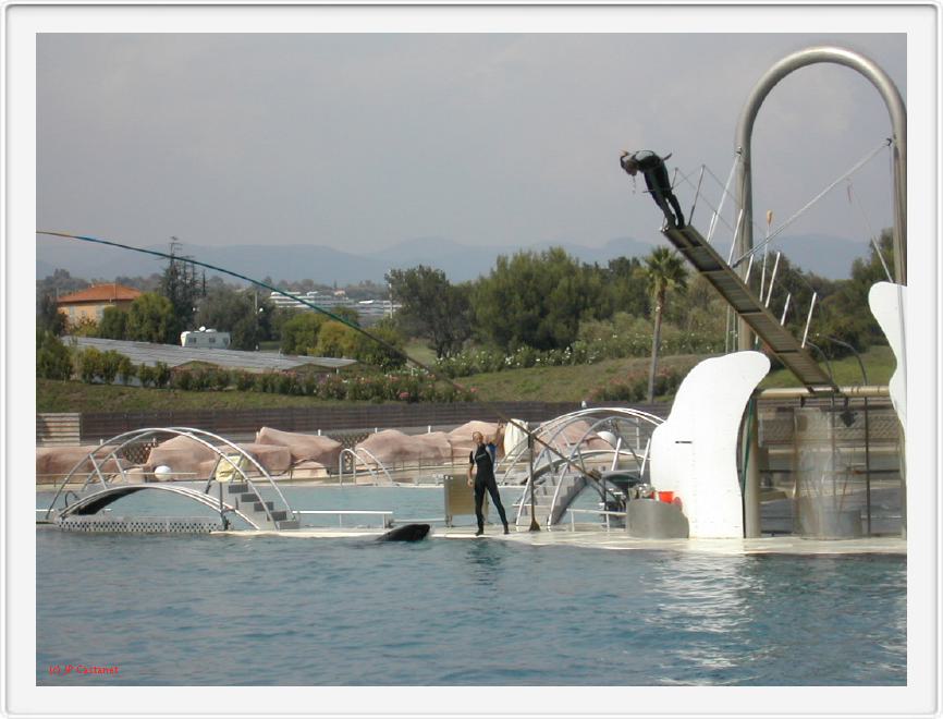 Marineland_256.JPG