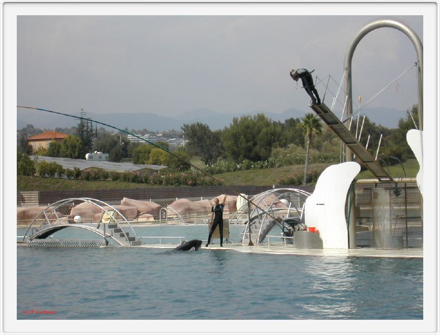 Marineland_257.JPG