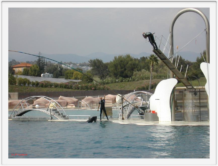 Marineland_258.JPG