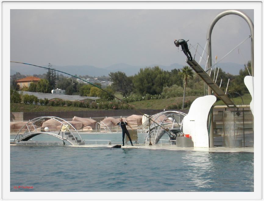 Marineland_259.JPG