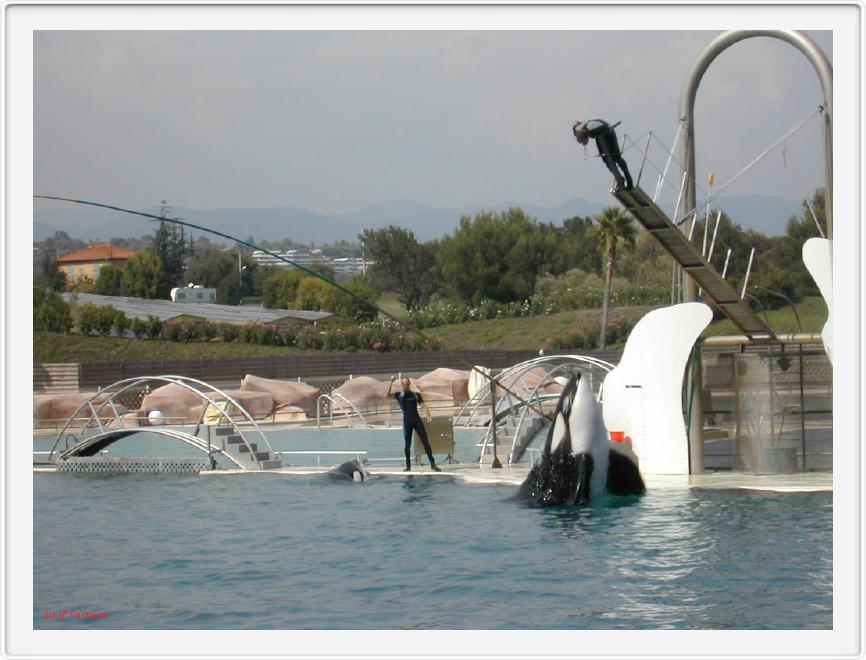 Marineland_260.JPG