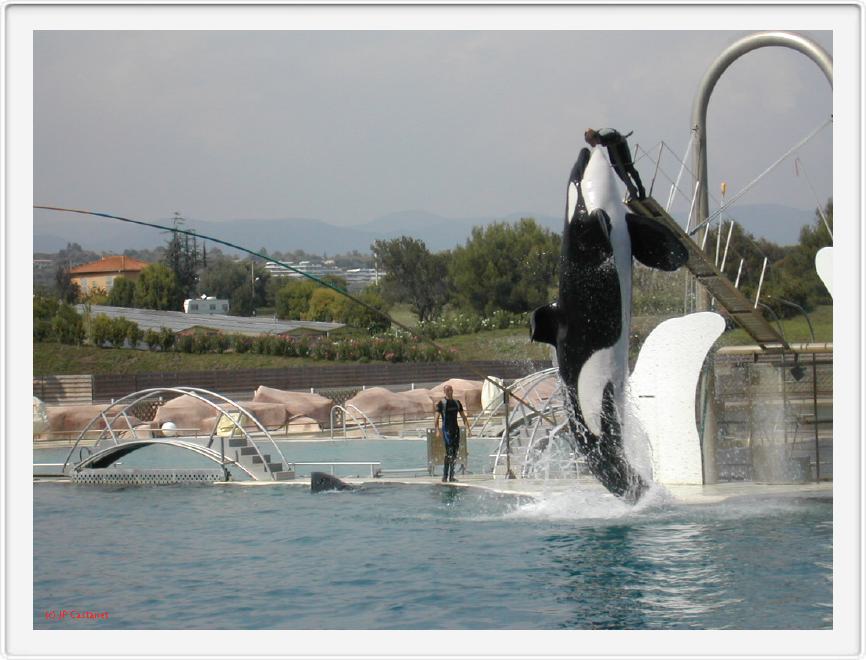 Marineland_261.JPG