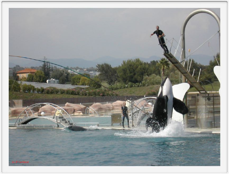 Marineland_262.JPG
