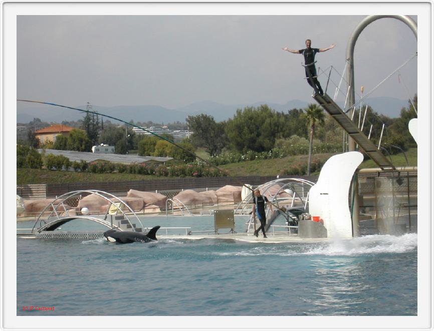 Marineland_263.JPG