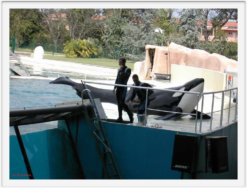 Marineland_265.JPG
