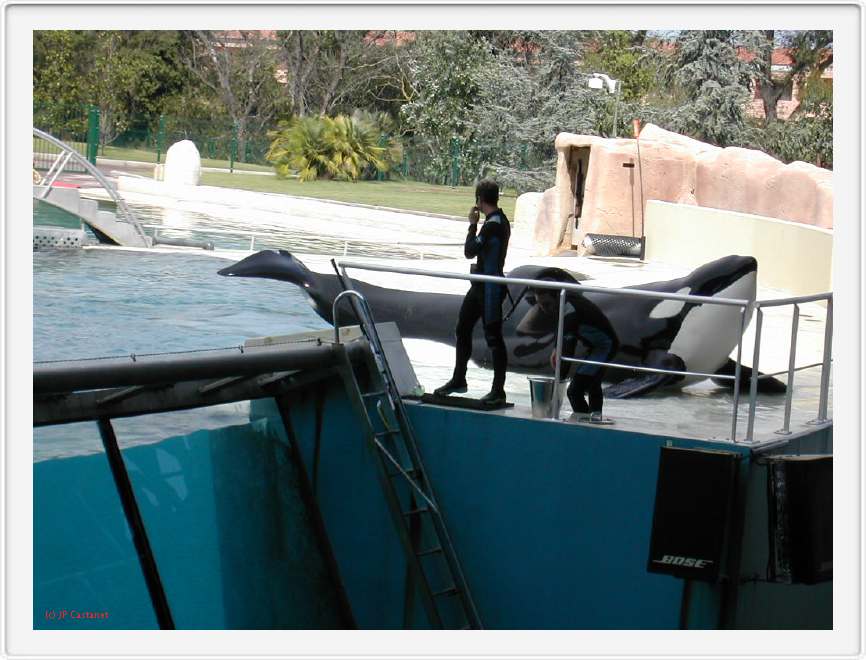 Marineland_266.JPG