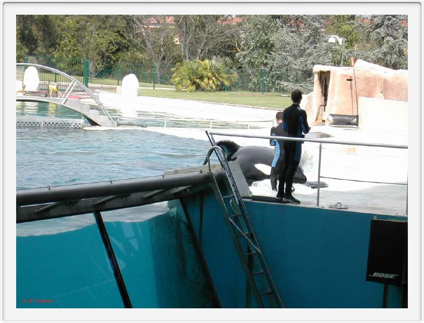 Marineland_268.JPG
