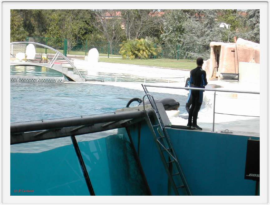 Marineland_269.JPG