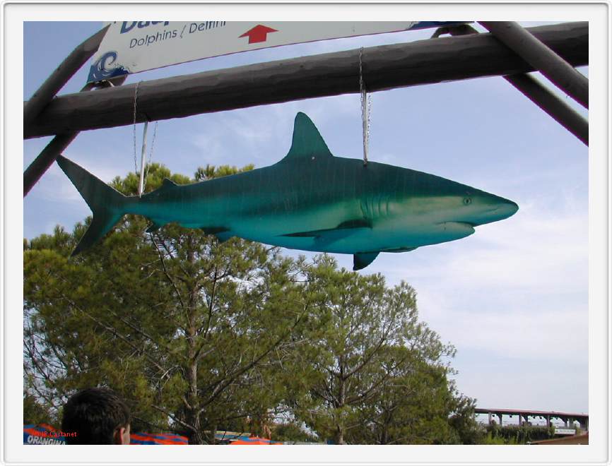 Marineland_273.JPG