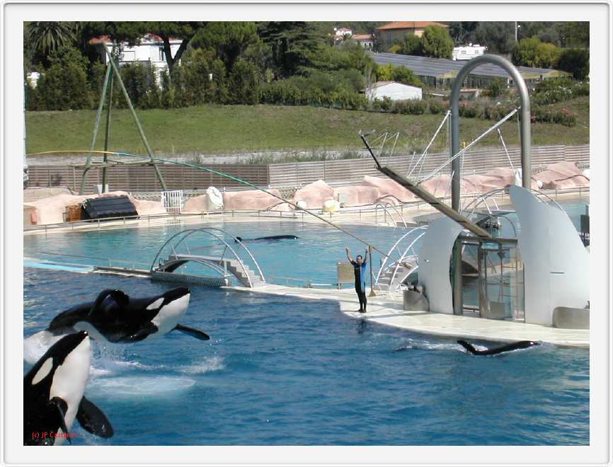 Marineland_018.JPG
