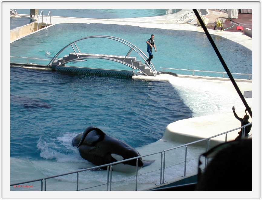 Marineland_019.JPG