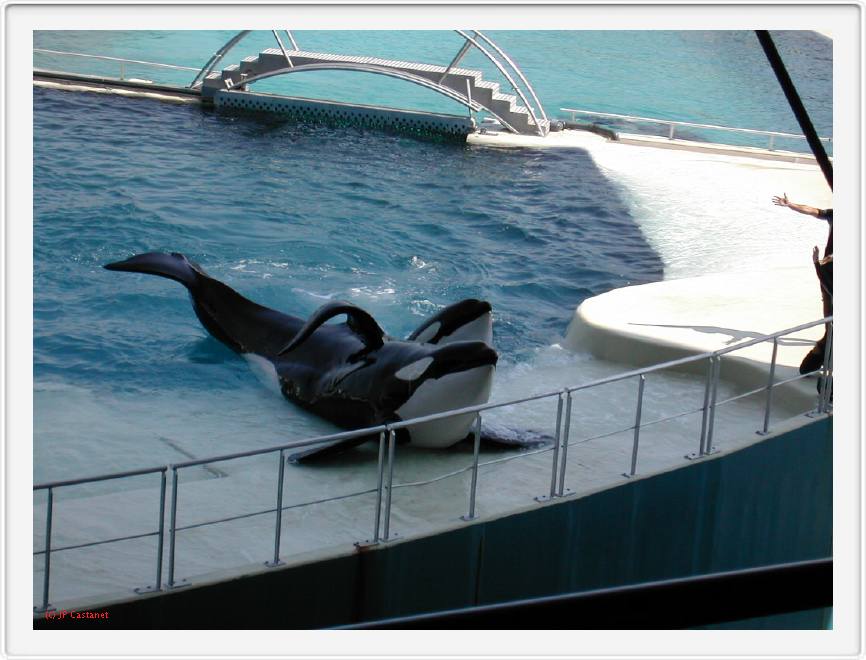 Marineland_020.JPG