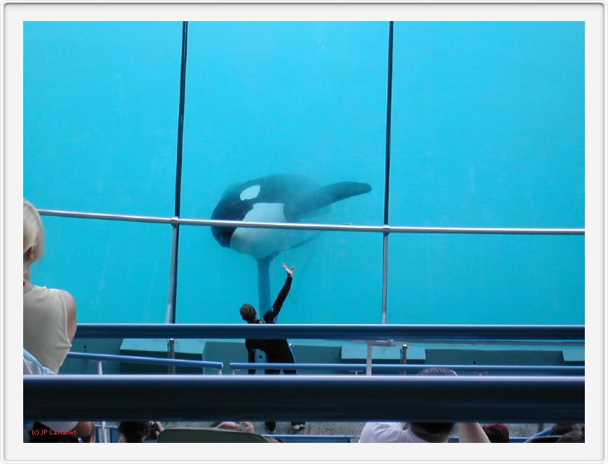Marineland_021.JPG