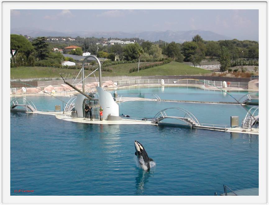 Marineland_034.JPG