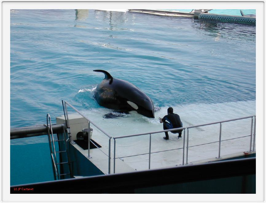 Marineland_037.JPG