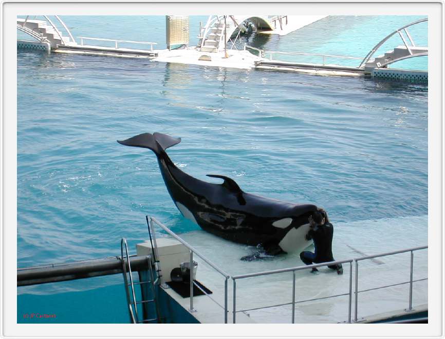 Marineland_038.JPG