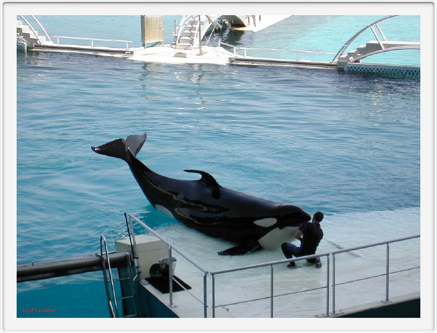 Marineland_039.JPG