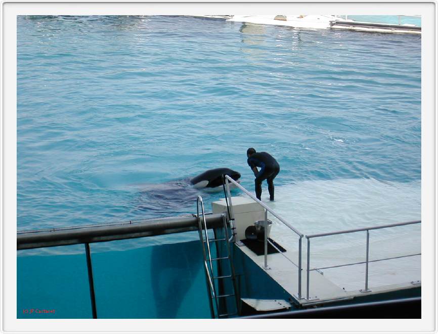 Marineland_040.JPG