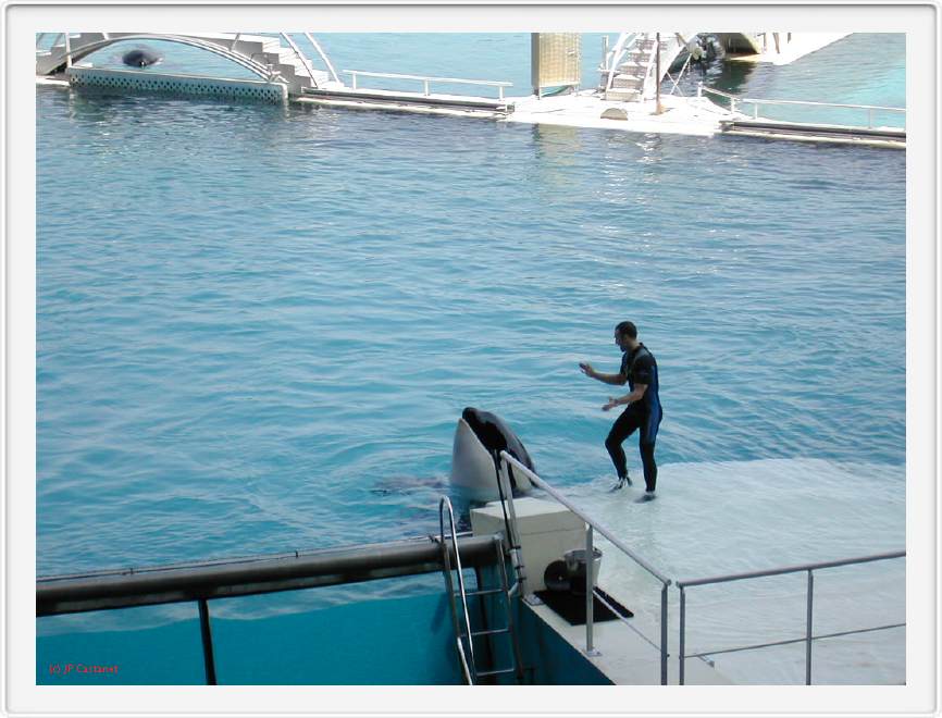 Marineland_041.JPG